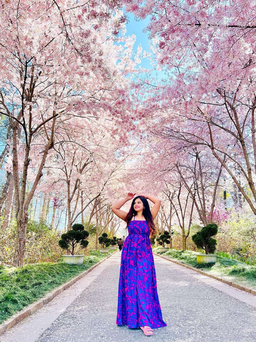 My Visit to Sarah P. Duke Gardens