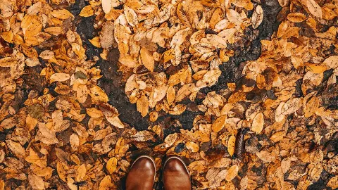 Exploring Nuremberg in Autumn 🍂 — traveler post in Nuremberg