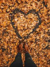 가을의 뉘른베르크 탐험 🍂