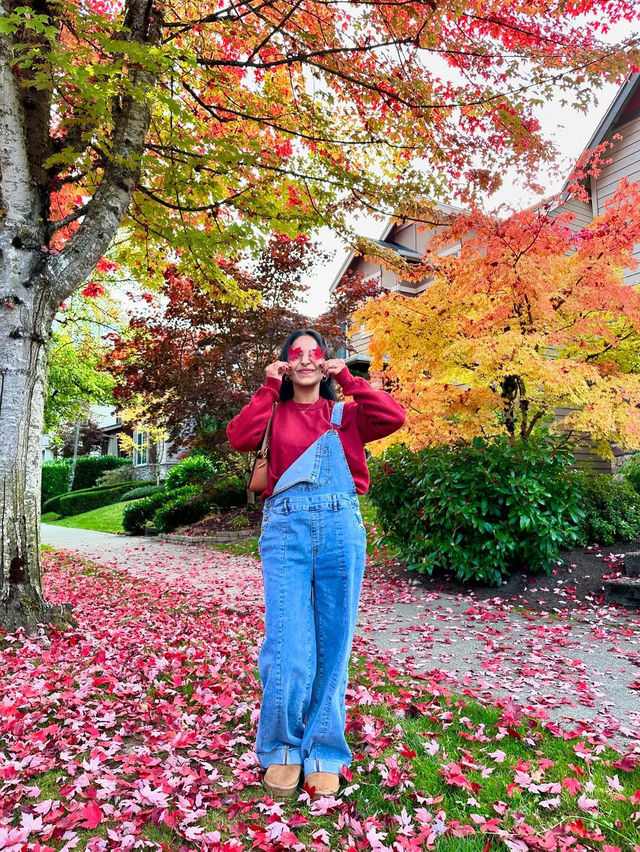 가을에 워싱턴 D.C.를 탐험해보세요 🍂