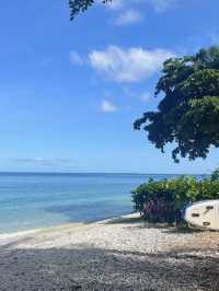 Fitzroy Island 🏖️