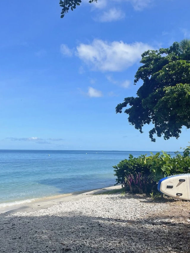 Fitzroy Island 🏖️