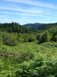 Cycling & Hiking Adventure Through the Trossachs: From Crianlarich to Glasgow