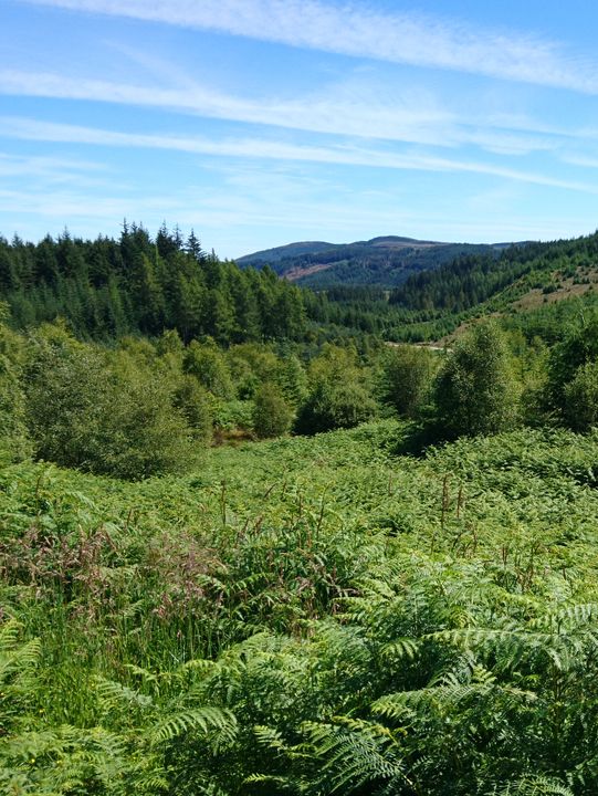 Cycling & Hiking Adventure Through the Trossachs: From Crianlarich to Glasgow