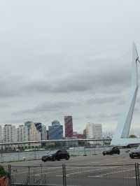 Rotterdam - the city of the future! 