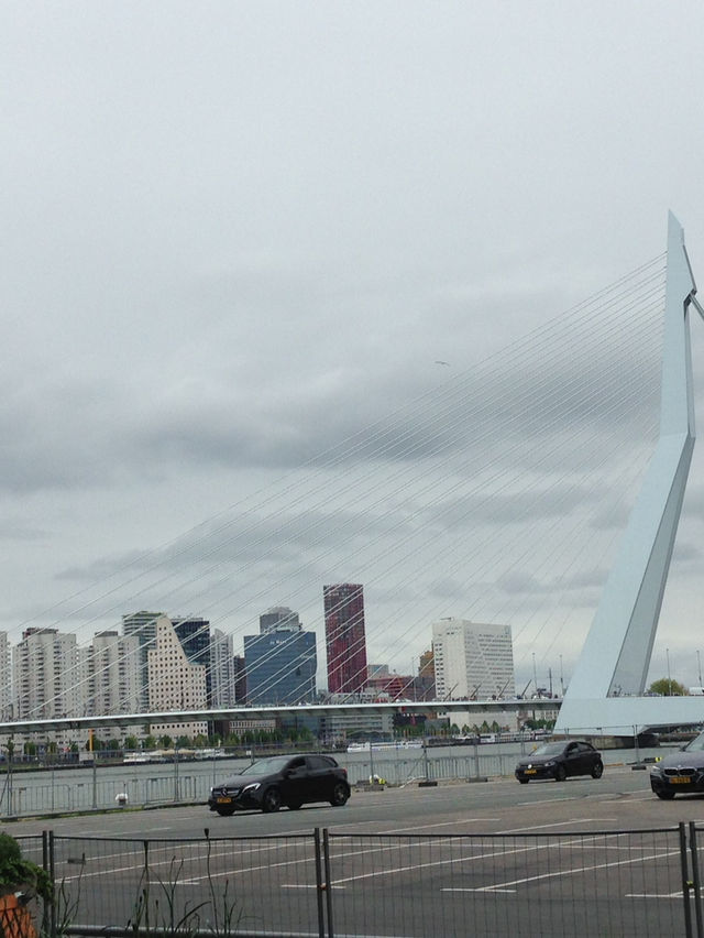 Rotterdam - the city of the future! 