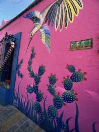「色×味×音」— 五感を刺激するオアハカへ行くべき5つの理由🇲🇽✈️🌏