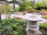 London’s Springtime Magic at Kew Gardens