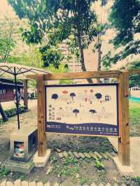  台灣桃園市｜桃園77藝文町 日式老宅文創基地必訪