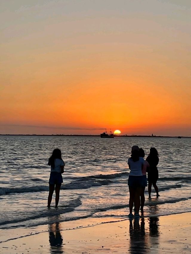 Entertaining Florida: US State of Sunshine 🇺🇸