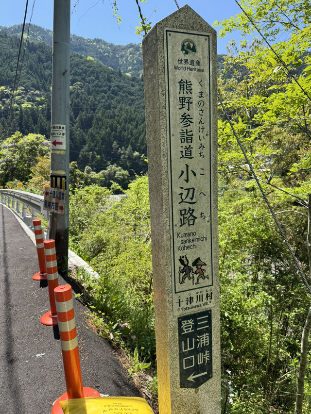 World heritage pilgrimage in Japan. Walking on Kumano Kodo