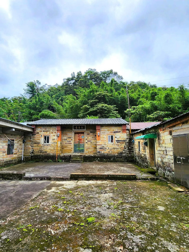 走讀姜子寮聚落及森林療癒步道～絕壁步道