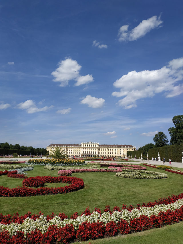 🚶‍♂️ One Day Walking Itinerary in Vienna – Elegance on Foot 🎻🏛️