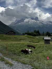 Our trip to Chamonix 