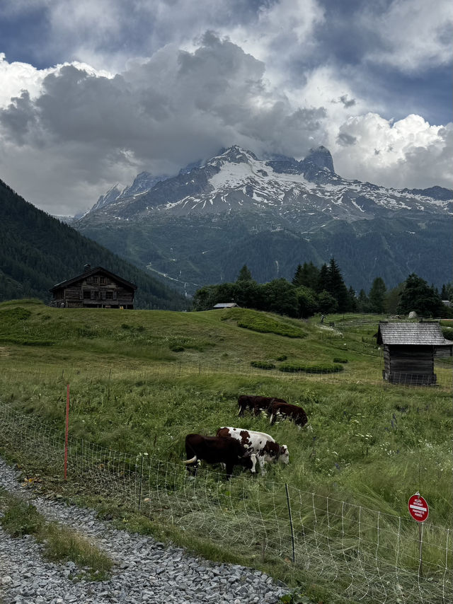 Our trip to Chamonix 