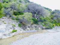 Nerja - the quintessential Spanish beach town  