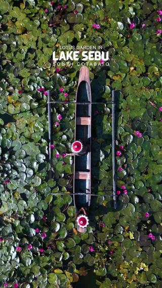 🌺 Lake Sebu – The Lotus Dream of Mindanao
