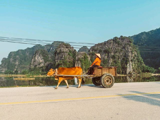 Tam Coc: Vietnam’s Hidden Gem of Limestone Peaks and Peaceful Rice Fields