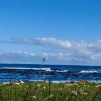 Cape Point