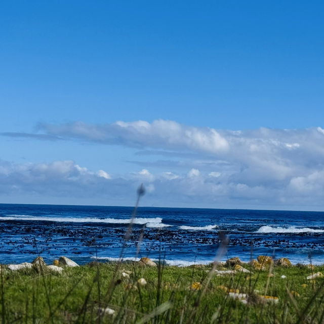 Cape Point