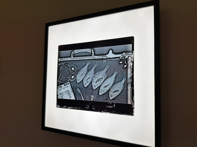 Art in Normandy’s abbey