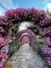 🏰✨ “Romantic Escape: Discovering Château de Castel Novel” 🇫🇷