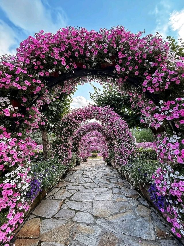 🏰✨ “Romantic Escape: Discovering Château de Castel Novel” 🇫🇷