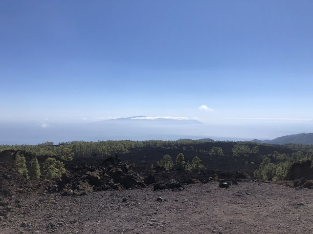 Tenerife Natural Beauty🌴