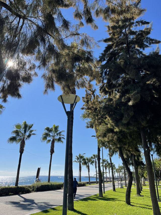 🌊 Cyprus: Sun, Sea & Mediterranean Charm