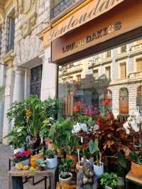Spooky Secrets of Nice: Halloween Edition