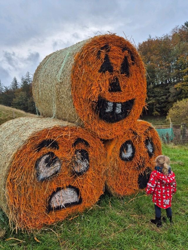 Stouslie Farm Pumpkin Patch, Hawick – A Scenic, Family-Friendly Autumn Adventure