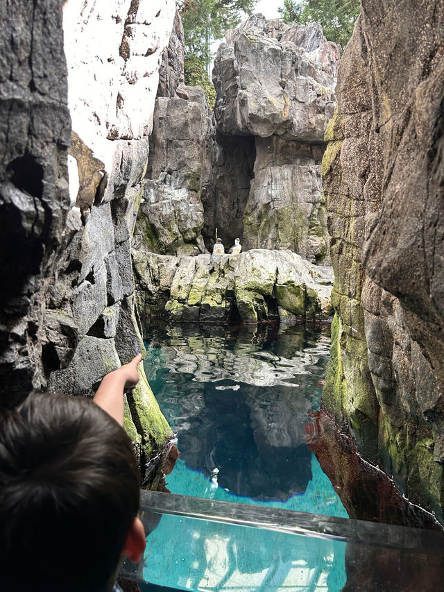 🌊 里斯本海洋博物館遊記