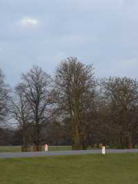 A Peaceful Day Trip to Richmond Park: London’s Countryside Escape 🌳