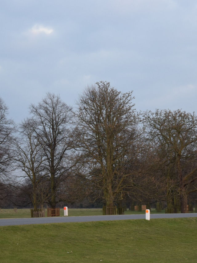 A Peaceful Day Trip to Richmond Park: London’s Countryside Escape 🌳