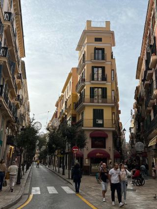 Tenerife, Spain — Where Adventure Meets Paradise 🏝️