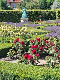 Castle Daydreams🏰