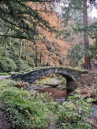🍁 크래그사이드 – 창의적인 세상에서 펼쳐지는 가을빛 🍂