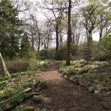 RHS Garden Harlow Carr