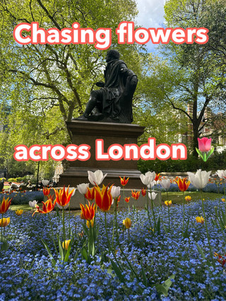 🌸 Chasing flowers across London