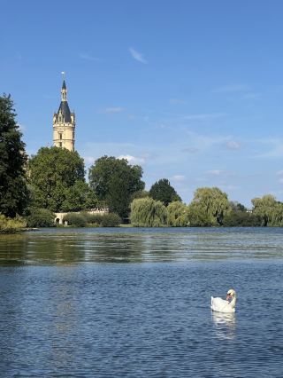 Daytrip from Berlin to see a fairytale castle 