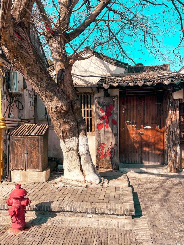 Dive into Culture at Xitang Water Town