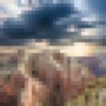 _Tom_32