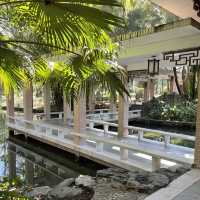  A stunning park in the heart of Shenzhen