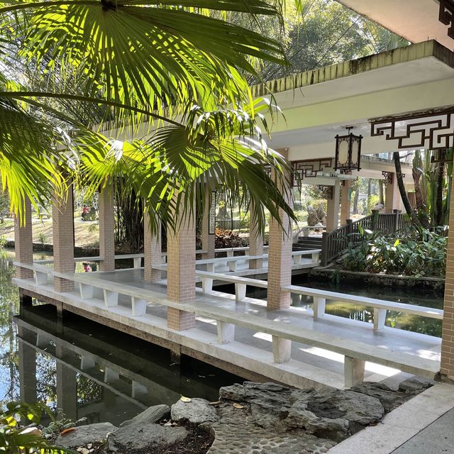  A stunning park in the heart of Shenzhen