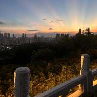 Stunning nighttime views of Shenzhen