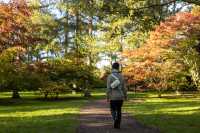 웨스톤버트 수목원의 새로운 가을 산책로🍂