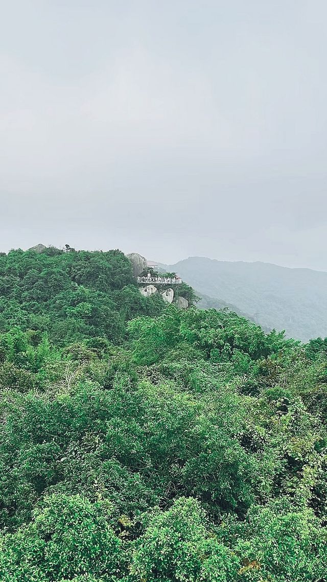 亞龍灣熱帶森林公園攻略