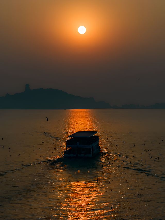 不是大理！這是獨屬於江南的紅嘴鷗橘子海！