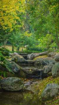 璧山這個公園美如畫