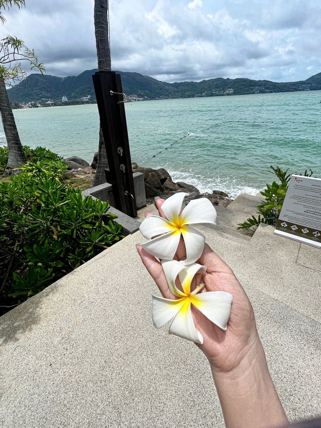 在泰國開啟勿擾模式 在泰國開啟勿擾模式